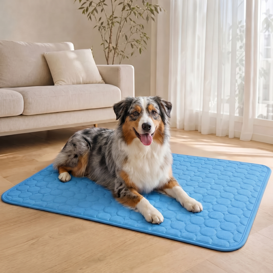 Tapis rafraichissant Caninou - chien salon