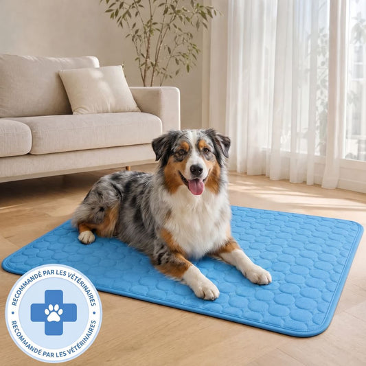 Tapis de refroidissement