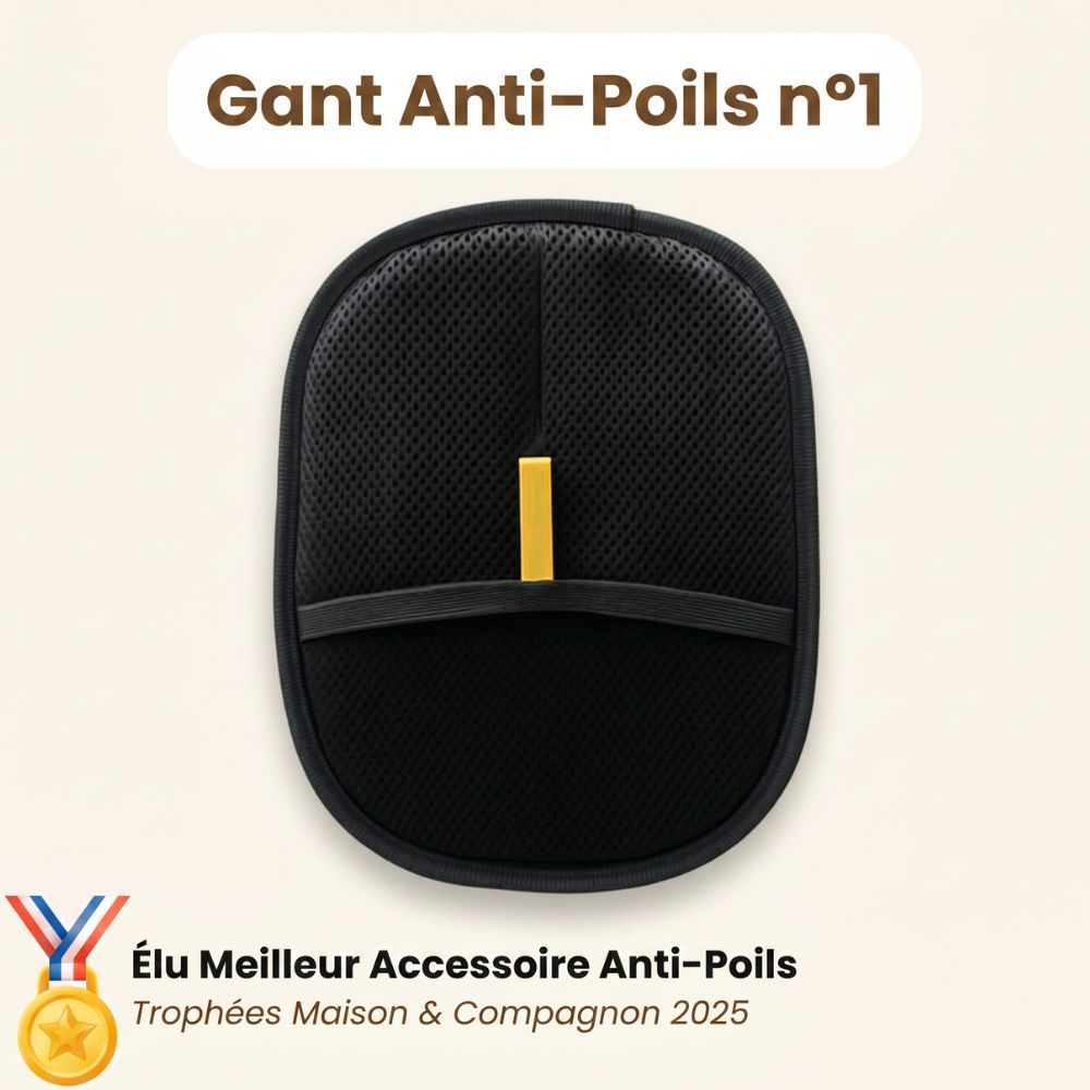 Gant Attrape-poils