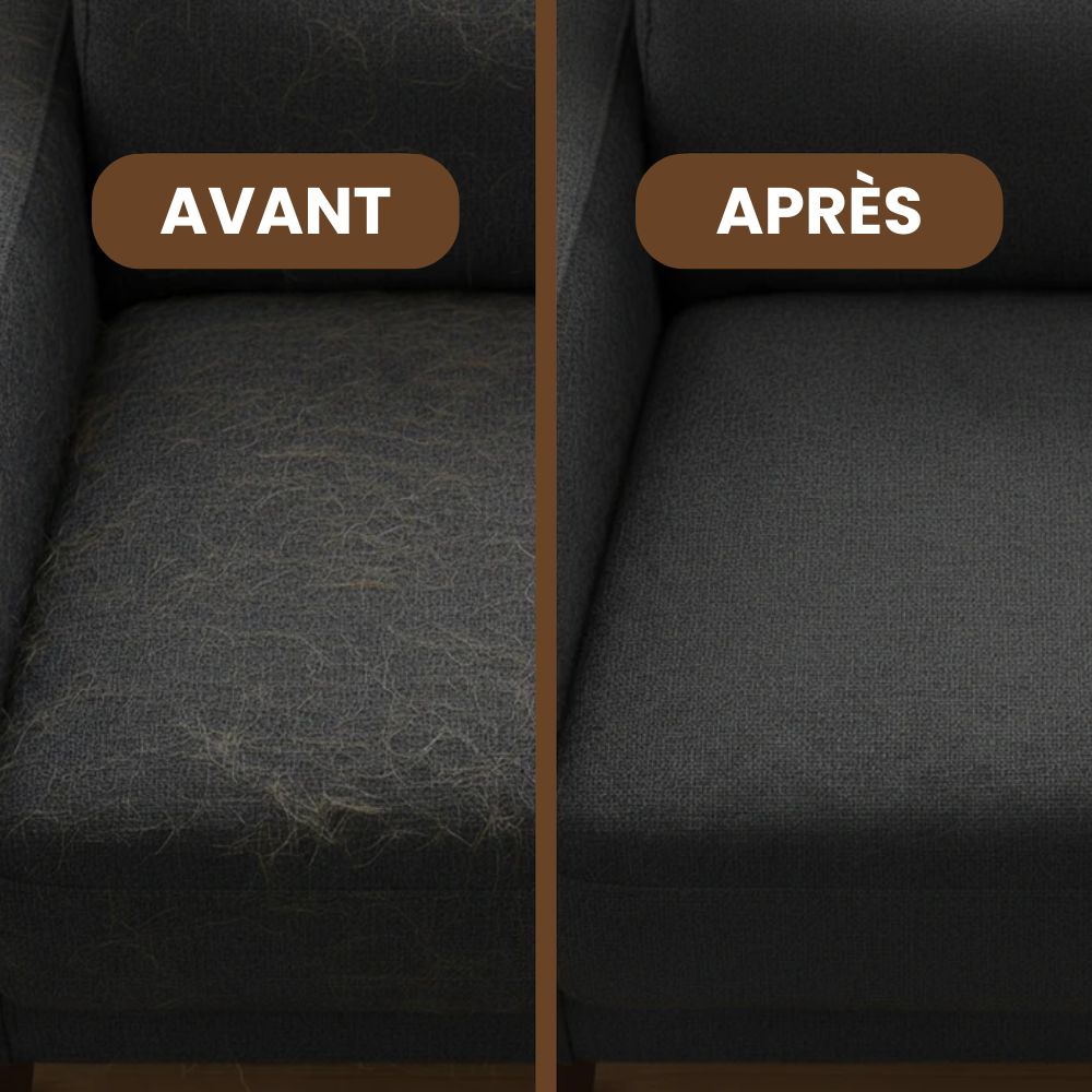 Gant Attrape-poils