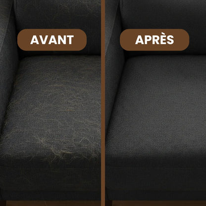 Gant Attrape-poils