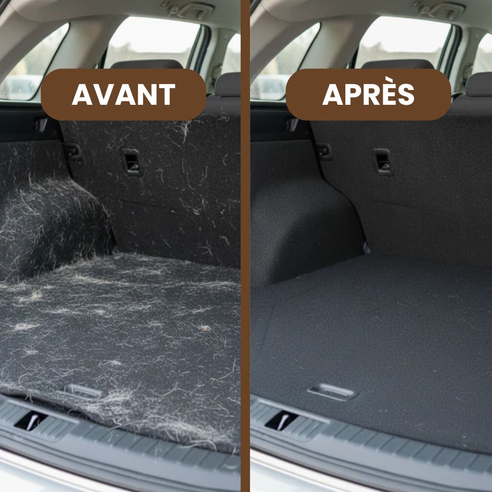 Gant Attrape-poils