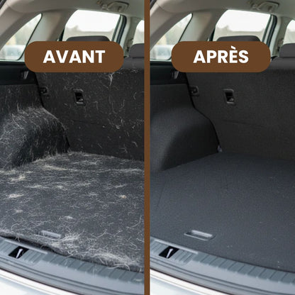 Gant Attrape-poils
