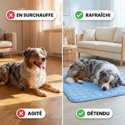 Tapis de refroidissement