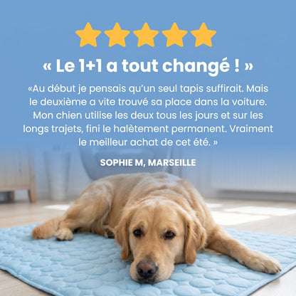 Tapis de refroidissement