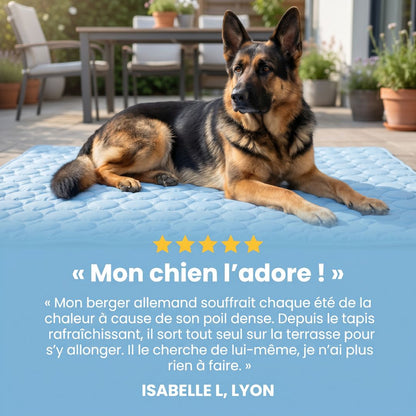 Tapis de refroidissement