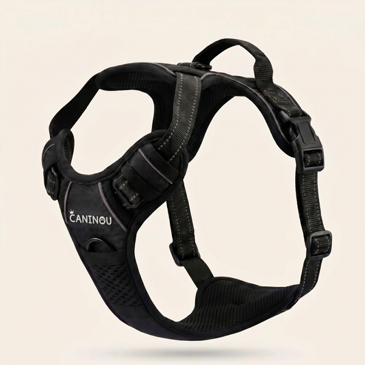 Harnais anti-traction Caninou noir