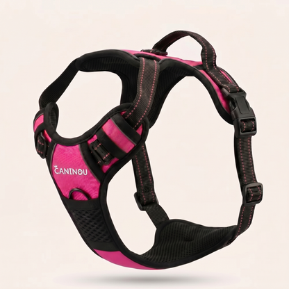 Harnais anti-traction Caninou rose