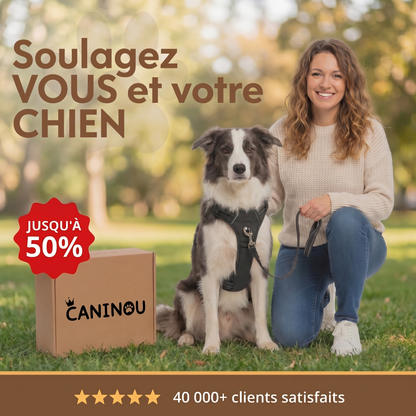 Harnais anti-traction Caninou - soulagez