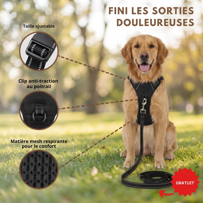 Harnais anti-traction Caninou - fini-sorties
