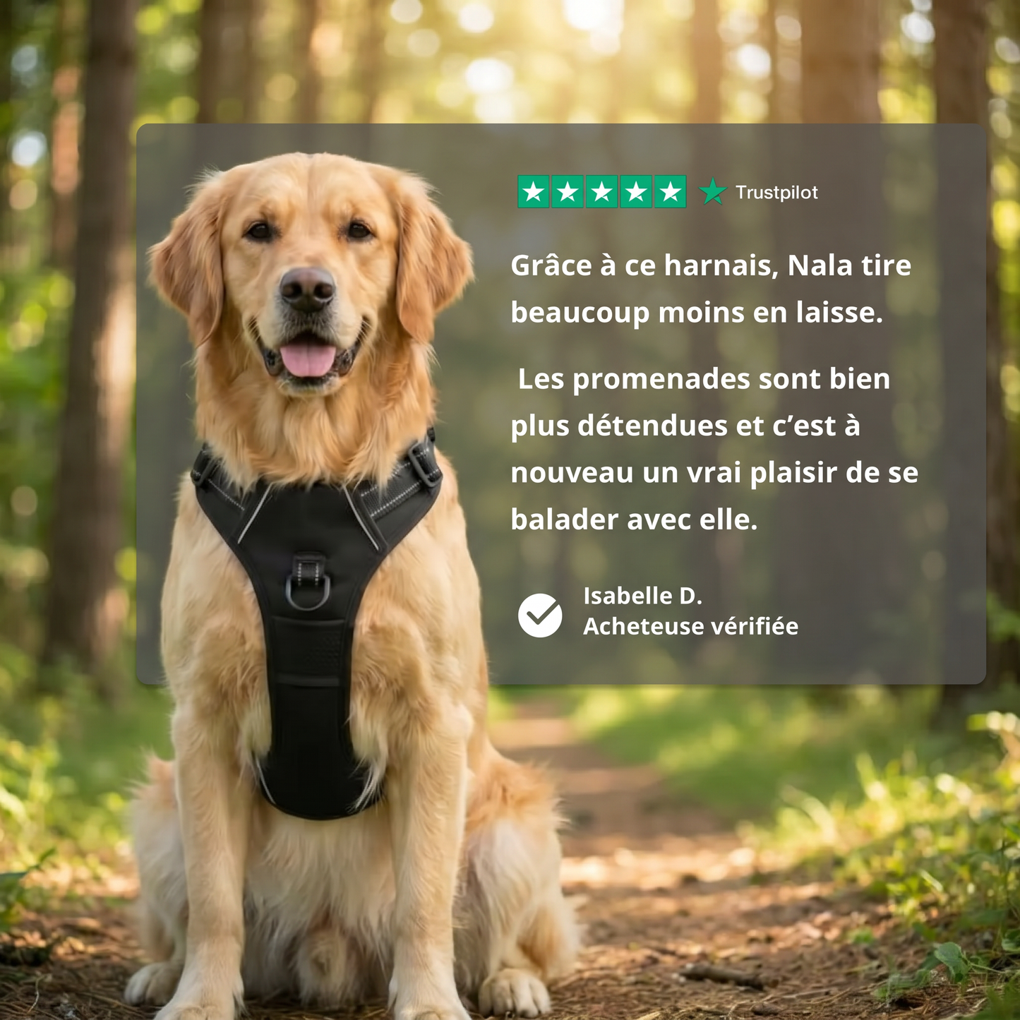 Harnais anti-traction Caninou - trustpilot