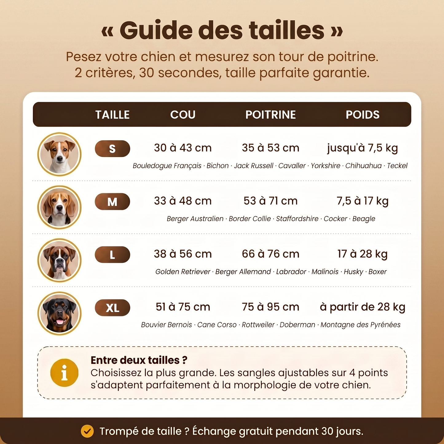 Harnais anti-traction Caninou - guide-tailles