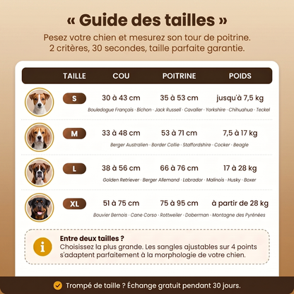Harnais anti-traction Caninou - guide-tailles