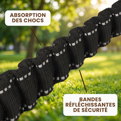 Laisse elastique Caninou - absorption