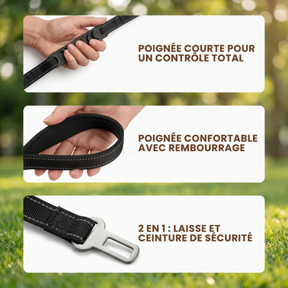 Laisse elastique Caninou - poignees