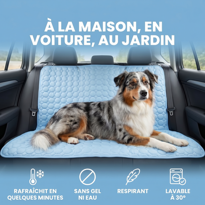 Tapis rafraichissant Caninou - maison voiture jardin
