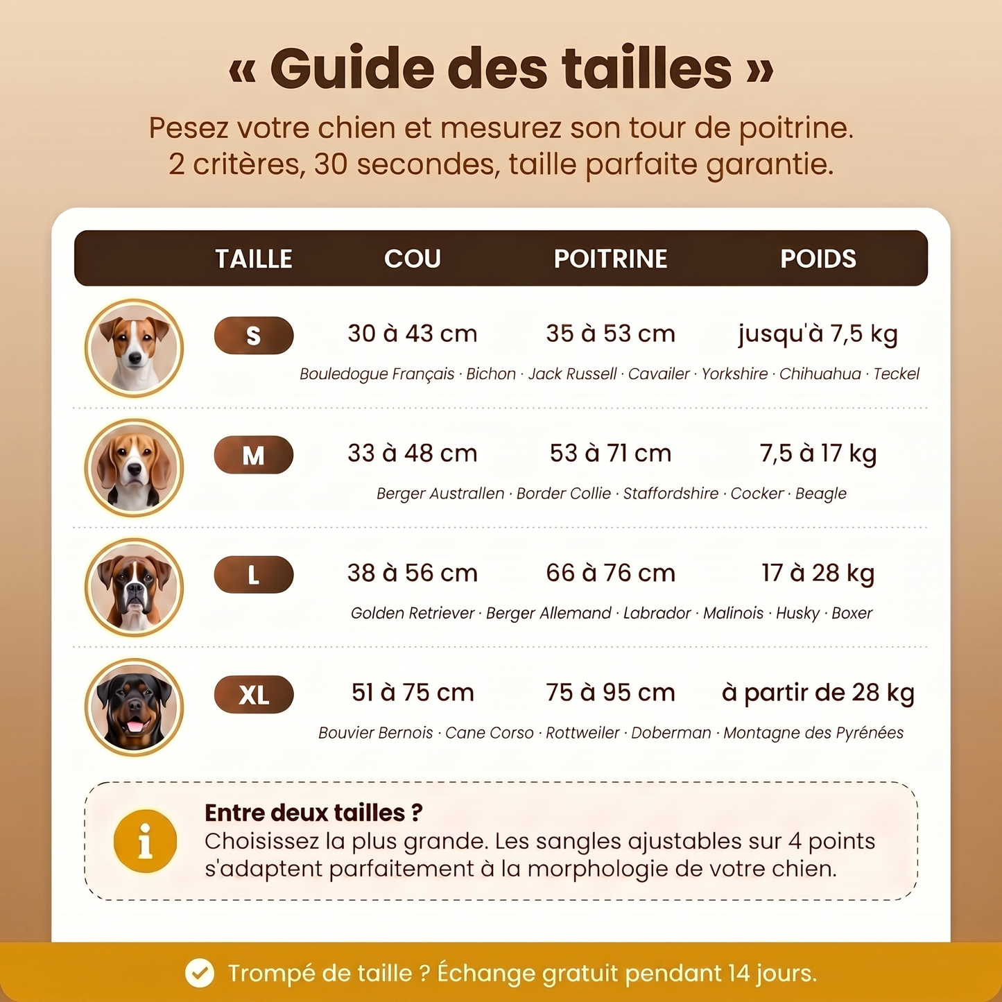 Harnais anti-traction Caninou - guide-tailles