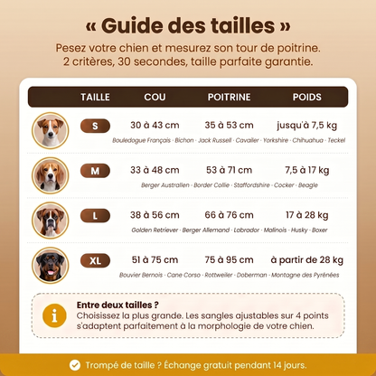 Harnais anti-traction Caninou - guide-tailles
